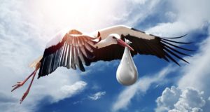 Der Storch bringt ein Baby