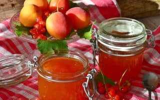 Nachhaltigkeit im Alltag – Marmelade einfach selbst herstellen!
