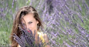 Lavendel im Haushalt